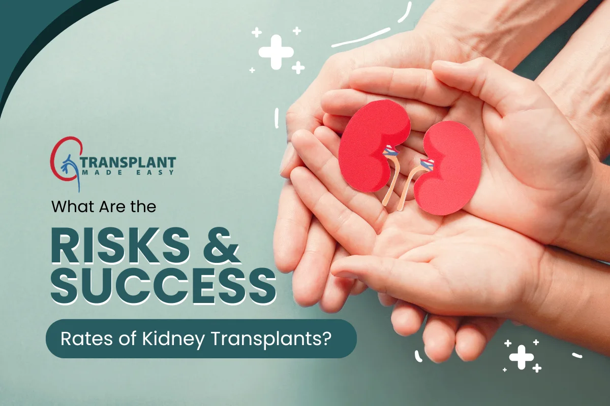 What Are the Risks and Success Rates of Kidney Transplants?