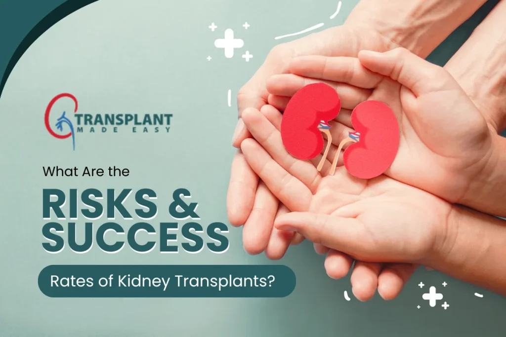 What Are the Risks and Success Rates of Kidney Transplants?